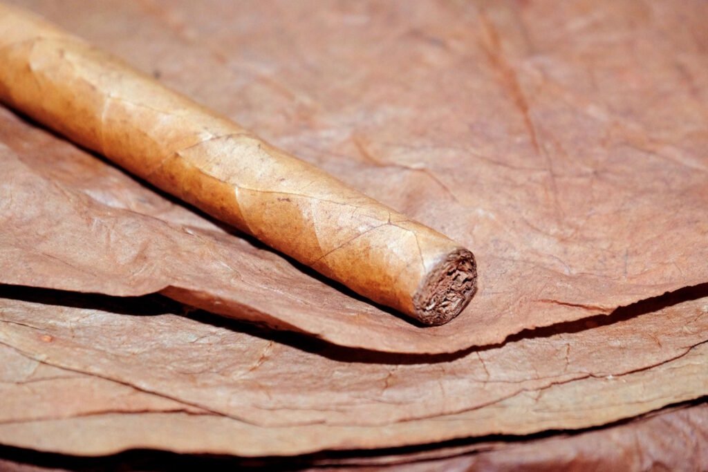 L'anatomie du cigare - Comprendre les différentes composants